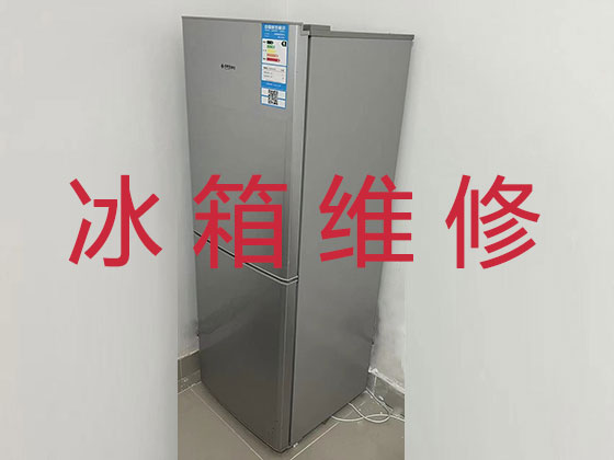 滨州冰箱冰柜维修